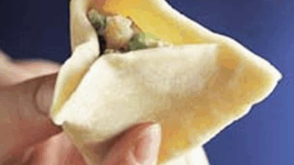Samosa at zaikastreet